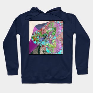 global mapping in landscape collage art Hoodie